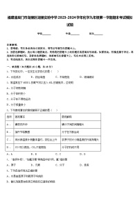 福建省厦门市湖里区湖里实验中学2023-2024学年化学九年级第一学期期末考试模拟试题含答案