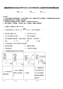 福建省漳州市龙文区龙文中学2023-2024学年化学九上期末教学质量检测模拟试题含答案