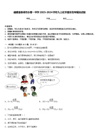 福建省泉州市永春一中学2023-2024学年九上化学期末统考模拟试题含答案