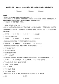 福建省龙岩市上杭县2023-2024学年化学九年级第一学期期末经典模拟试题含答案