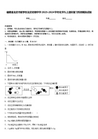 福建省龙岩市新罗区龙岩初级中学2023-2024学年化学九上期末复习检测模拟试题含答案