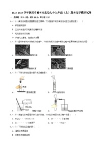 陕西省榆林市定边县第七中学2023-2024学年九年级上学期期末模拟试化学卷