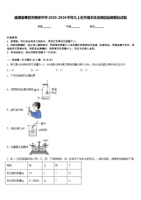 福建省莆田市擢英中学2023-2024学年九上化学期末质量跟踪监视模拟试题含答案