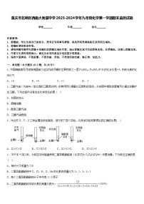 重庆市北碚区西南大附属中学2023-2024学年九年级化学第一学期期末监测试题含答案