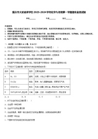 重庆市大足迪涛学校2023-2024学年化学九年级第一学期期末监测试题含答案