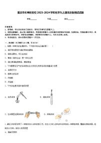 重庆市长寿区名校2023-2024学年化学九上期末达标测试试题含答案