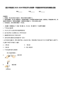 重庆市铜梁区2023-2024学年化学九年级第一学期期末教学质量检测模拟试题含答案