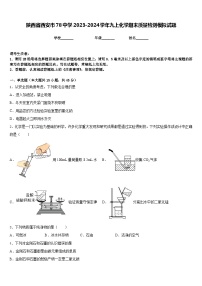 陕西省西安市78中学2023-2024学年九上化学期末质量检测模拟试题含答案