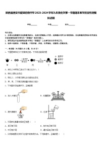 陕西省西安市爱知初级中学2023-2024学年九年级化学第一学期期末教学质量检测模拟试题含答案