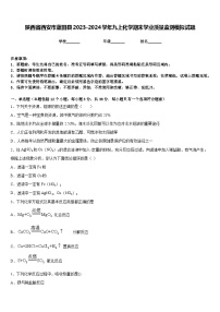 陕西省西安市蓝田县2023-2024学年九上化学期末学业质量监测模拟试题含答案