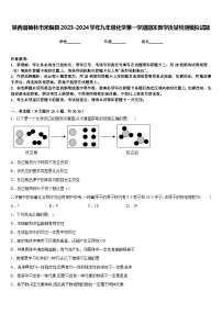 陕西省榆林市米脂县2023-2024学年九年级化学第一学期期末教学质量检测模拟试题含答案