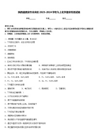 陕西省西安市未央区2023-2024学年九上化学期末检测试题含答案