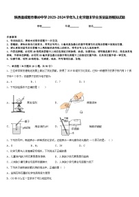 陕西省咸阳市秦岭中学2023-2024学年九上化学期末学业质量监测模拟试题含答案