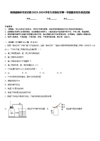 陕西省榆林市定边县2023-2024学年九年级化学第一学期期末综合测试试题含答案