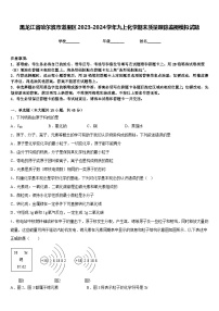 黑龙江省哈尔滨市道里区2023-2024学年九上化学期末质量跟踪监视模拟试题含答案