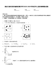 黑龙江省哈尔滨市南岗区萧红中学2023-2024学年化学九上期末调研模拟试题含答案