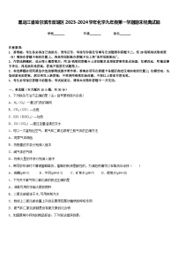 黑龙江省哈尔滨市双城区2023-2024学年化学九年级第一学期期末经典试题含答案