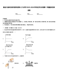 黑龙江省哈尔滨市香坊区第六十九中学2023-2024学年化学九年级第一学期期末统考试题含答案