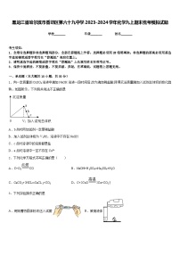 黑龙江省哈尔滨市香坊区第六十九中学2023-2024学年化学九上期末统考模拟试题含答案