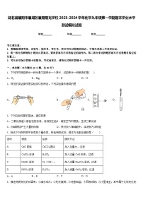 湖北省襄阳市襄城区襄阳阳光学校2023-2024学年化学九年级第一学期期末学业水平测试模拟试题含答案