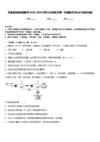 甘肃省定西岷县联考2023-2024学年九年级化学第一学期期末学业水平测试试题含答案