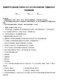 贵州省毕节市七星关区第三实验学校2023-2024学年九年级化学第一学期期末学业水平测试模拟试题含答案