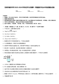 苏州市振华中学2023-2024学年化学九年级第一学期期末学业水平测试模拟试题含答案