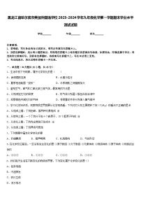 黑龙江省哈尔滨市美加外国语学校2023-2024学年九年级化学第一学期期末学业水平测试试题含答案