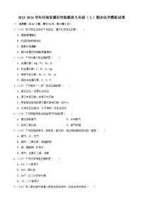 河南省漯河市临颍县2023-2024学年九年级上学期期末模拟化学试卷