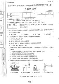 陕西省延安市2023-2024学年九年级上学期期末教学质量调研化学试题