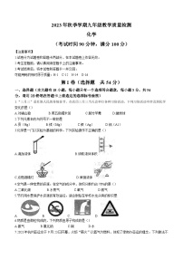 广西壮族自治区防城港市2023-2024学年九年级上学期期末化学试题