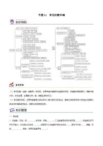 备战中考化学考点总复习 专题11 常见的酸和碱【考点精讲】（全国通用）（原卷版+解析版）