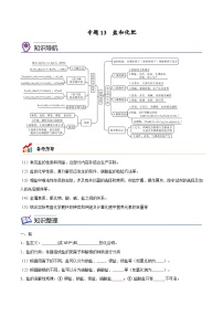 备战中考化学考点总复习 专题13 盐和化肥【考点精讲】（全国通用）（原卷版+解析版）