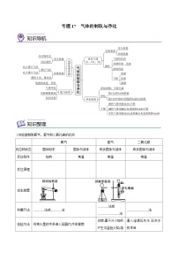 备战中考化学考点总复习 专题17 气体的制取与净化【考点精讲】（全国通用）（原卷版+解析版）