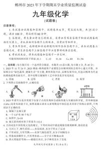 湖南省郴州市苏仙区2023-2024学年九年级上学期1月期末化学试题含答案