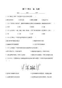 人教版中考化学一轮复习讲练测 第十一单元 盐 化肥（检测）（原卷版+解析版）