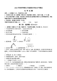 四川省广元市苍溪县2023-2024学年九年级上学期期末化学试题