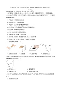 安徽省合肥市西苑中学2023_2024学年九年级上学期期末模拟化学试卷（一）