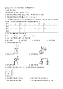 河北省张家口市宣化区2023-2024学年九年级上学期期末化学试题