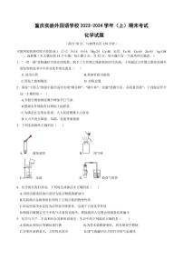 重庆市实验外国语学校2023-2024学年九年级上学期期末考试化学试题