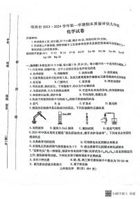 河南省邓州市2023-2024学年九年级上学期期末质量评估化学试卷+