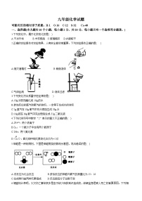 河北省廊坊市三河市2023-2024学年九年级上学期期末化学试题