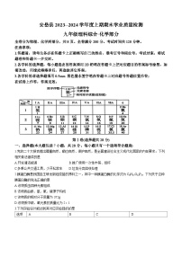 四川省资阳市安岳县2023-2024年九年级上期期末化学试题