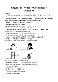 陕西省渭南市澄城县2023-2024学年九年级上学期期末质量检测评价化学试卷