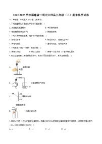 2022-2023学年福建省三明市大田县九年级（上）期末化学试卷（含详细答案解析）