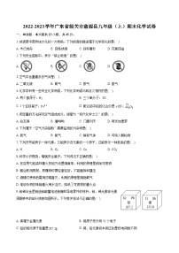 2022-2023学年广东省韶关市翁源县九年级（上）期末化学试卷（含详细答案解析）