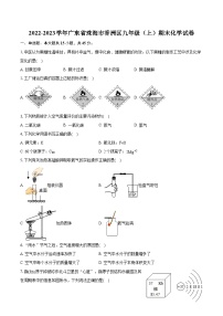 2022-2023学年广东省珠海市香洲区九年级（上）期末化学试卷（含详细答案解析）