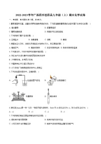 2022-2023学年广西梧州苍梧县九年级（上）期末化学试卷（含详细答案解析）