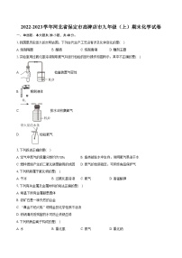 2022-2023学年河北省保定市高碑店市九年级（上）期末化学试卷（含详细答案解析）