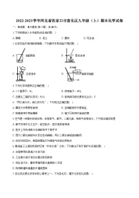 2022-2023学年河北省张家口市宣化区九年级（上）期末化学试卷（含详细答案解析）